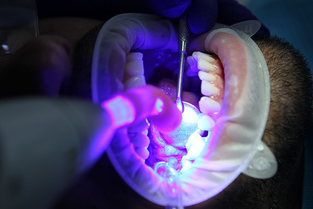 teeth